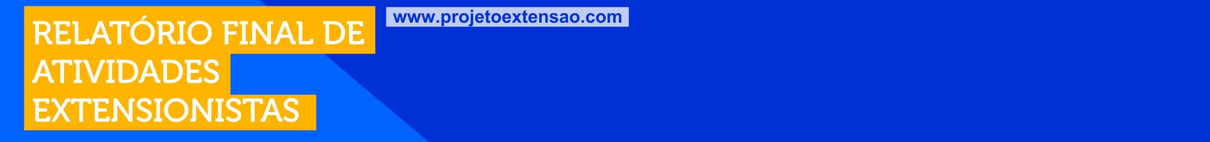 Relatorio Final de Atividades Extensionistas